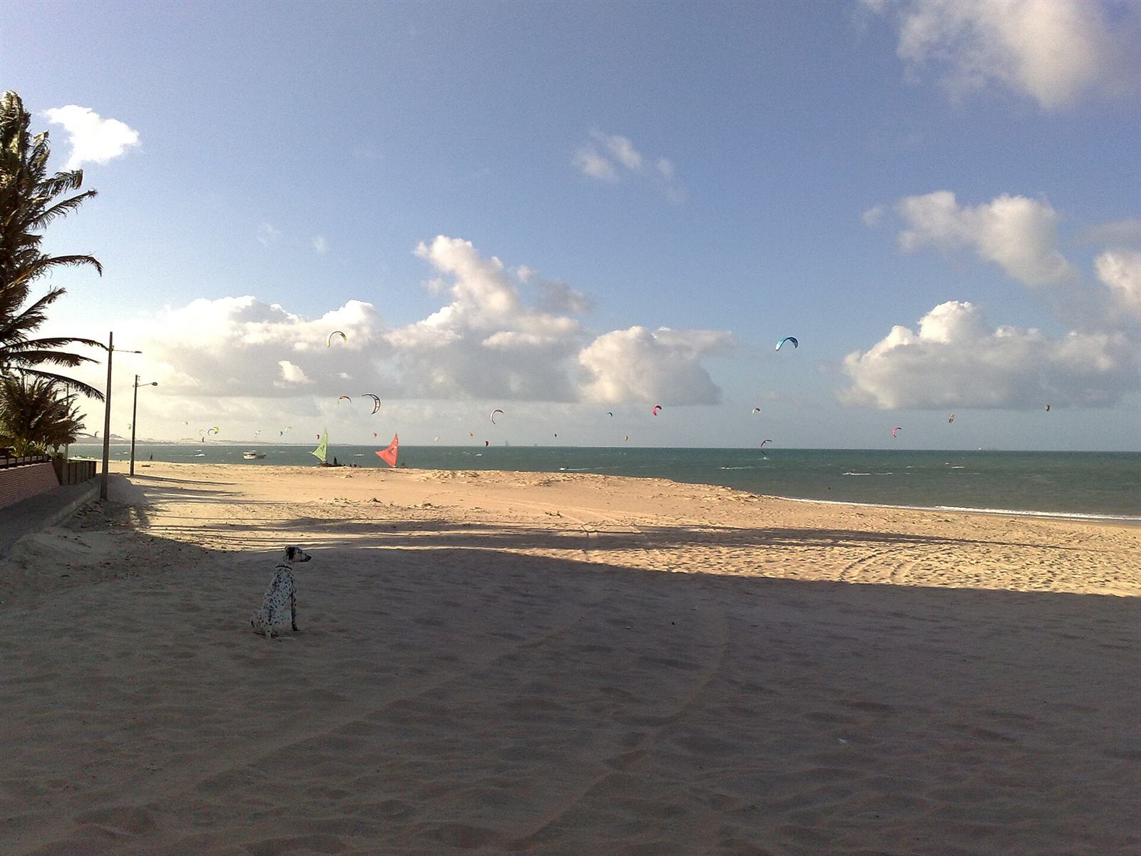 Kites over the sea in Ceará, Brazil